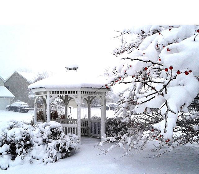 The First Snow - @sara.zeni